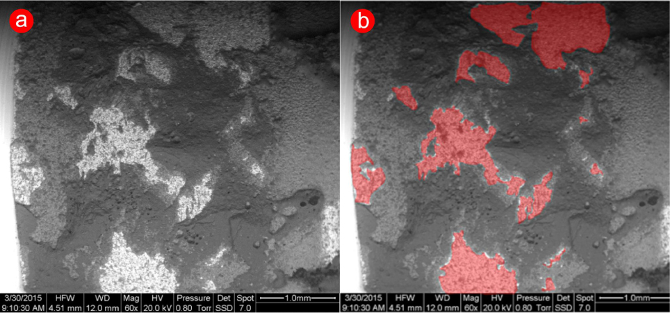 Figure 5 Fracture surface of a sample obtained with the DF precious alloy (a) before and (b) after visible metal area quantification