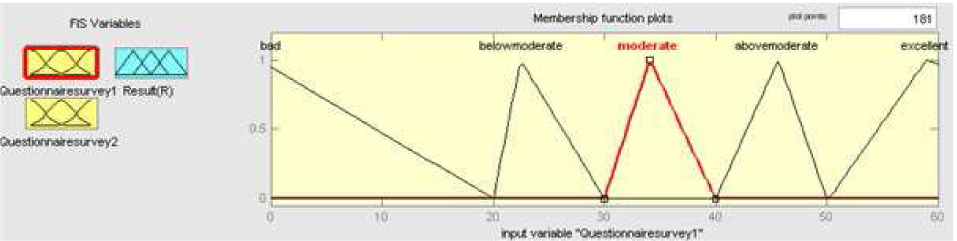 Figure 7 Description of the first input variable “Questionnaire survey1”