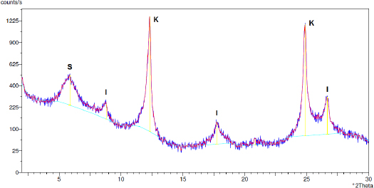 Figure 4 X-ray diffraction of the soil sample (< 2 μm)