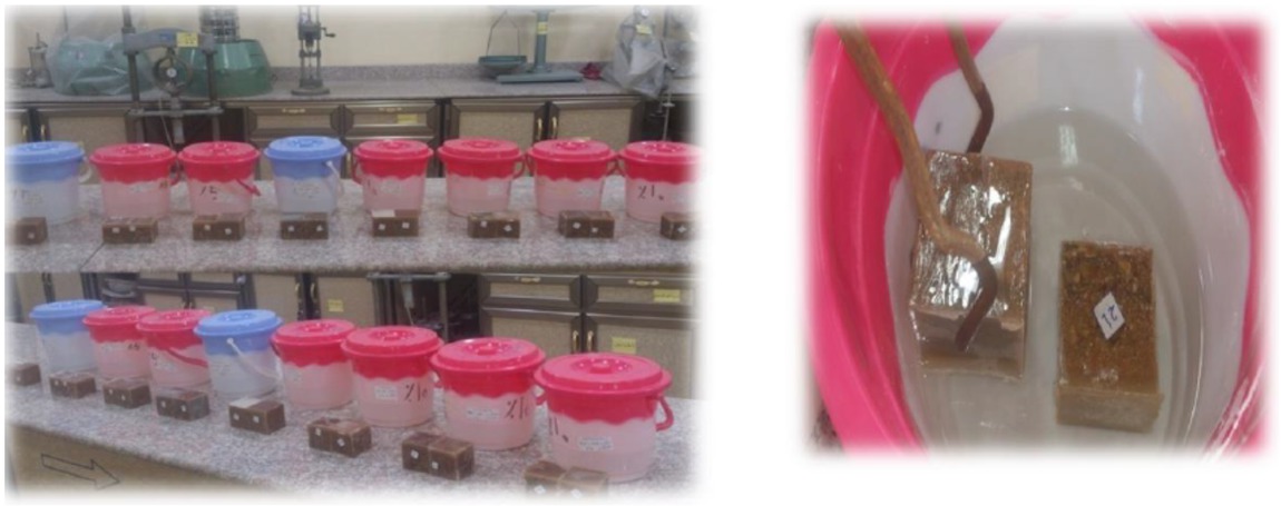 Figure S1 Specimens Submerged at Age 28 in Diluted Solution (5 and 10)% of Sulfuric Acid