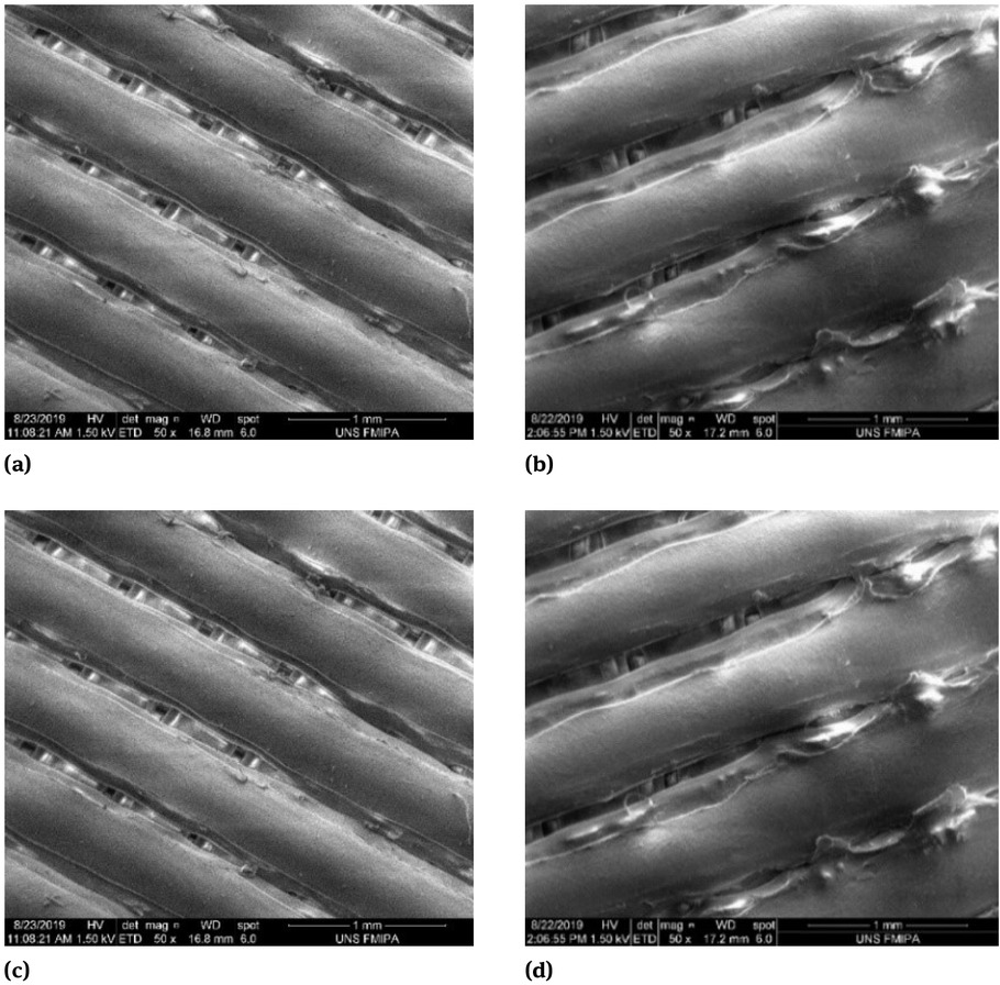 Figure 4 SEM images of the specimen created by nozzle with diameter of (a) 0.3 mm, (b) 0.4 mm, (c) 0.5 mm, (d) 0.6 mm