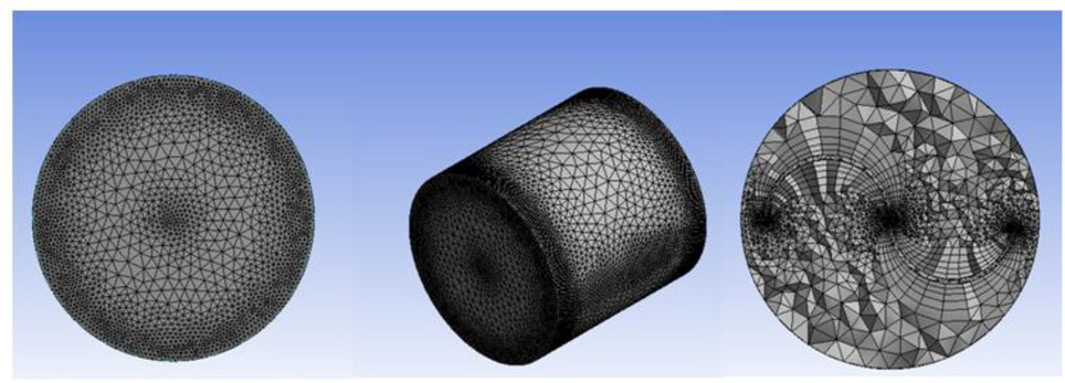 Figure 5 Mesh on a rotary domain.