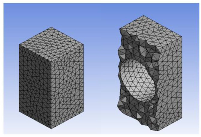 Figure 6 Mesh at the stationary domain.