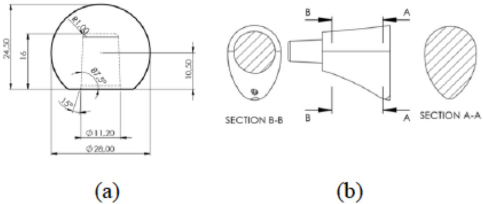 Figure 1 (a) Size dan shape of femoral head; and (b) Cross section femoral neck