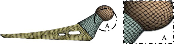 Figure 3 The shape of the FE model mesh used.
