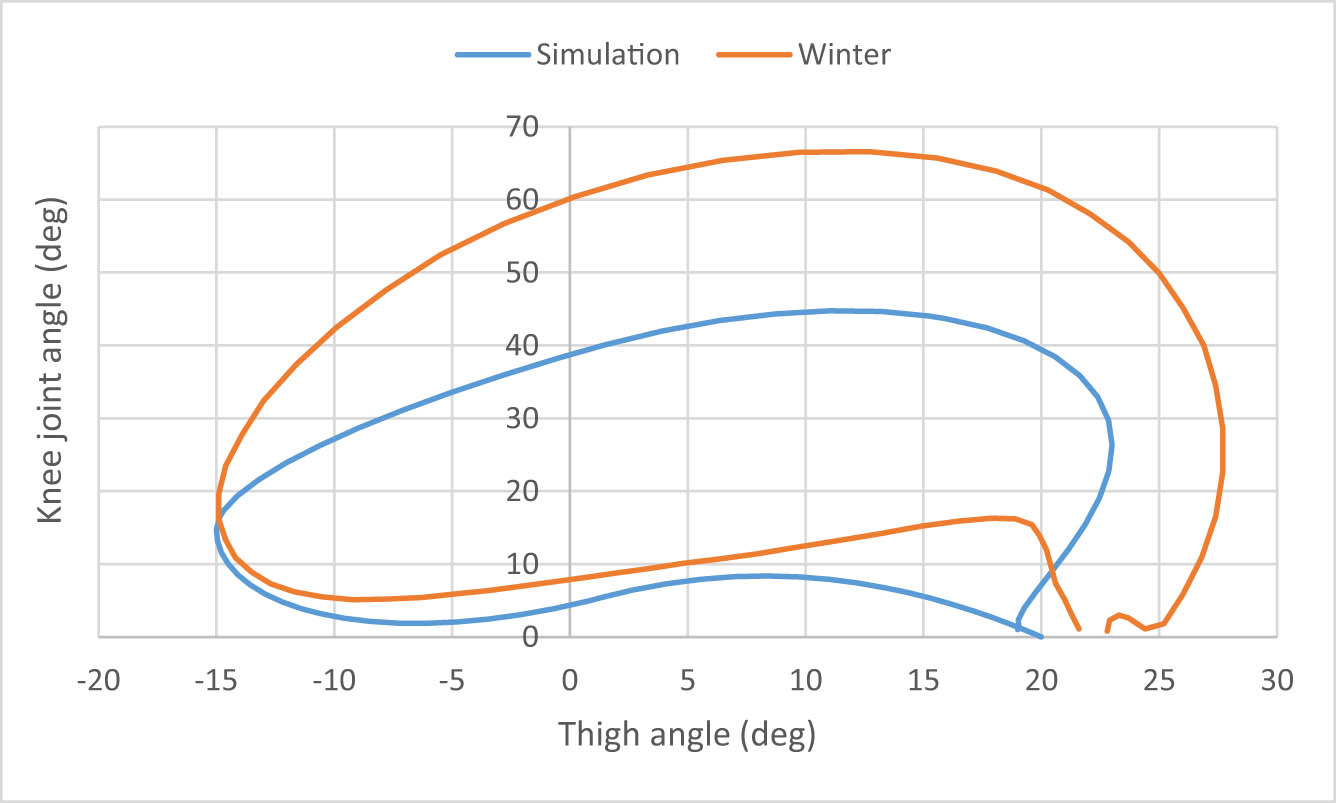 Figure 24 
               Cyclogram of simulation and Winter [8].
            