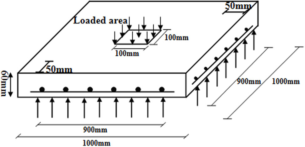 Figure 2 
               Geometry of laboratory specimens.
            