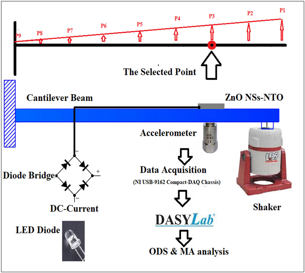 Figure 2 
                  Experimental setup of excited beam cantilever.
               