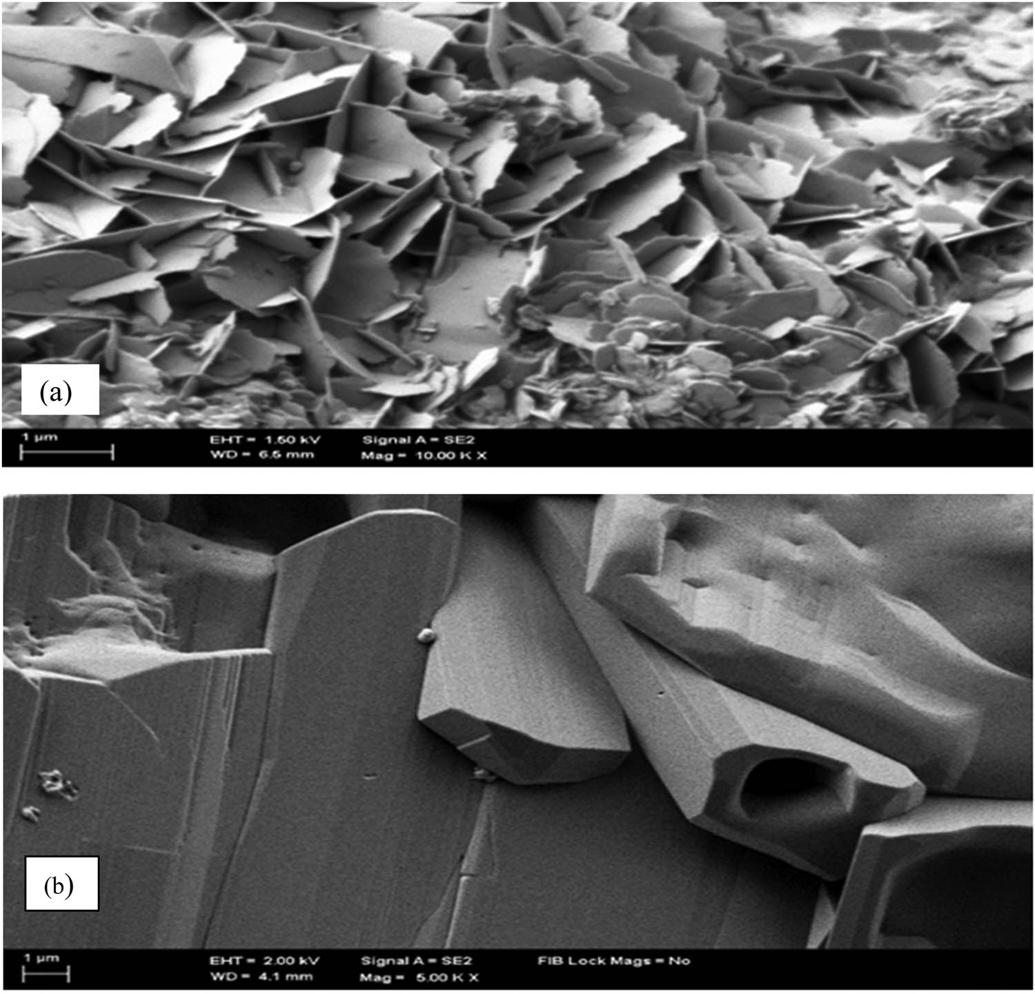 Figure 3 
                  Structure of ZnO NSs–NTO: (a) zinc nanosheets layer; (b) disodium hexatitanate layer.
               