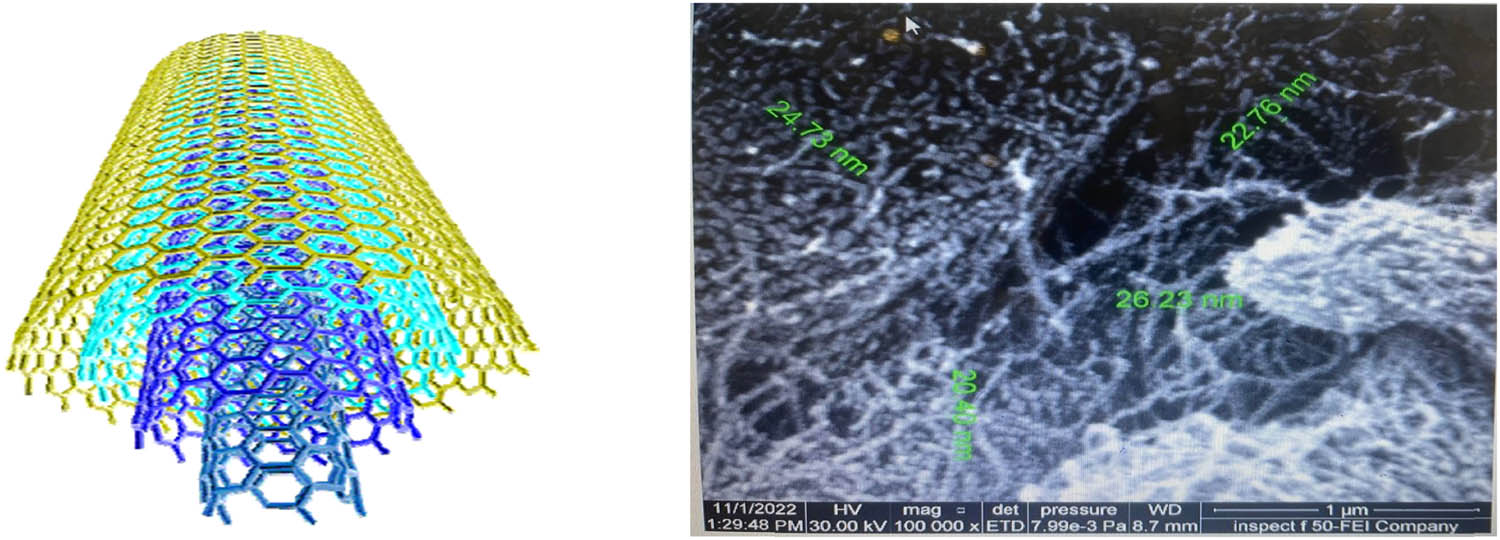 Figure 1 
                     MWCNTs [17].
                  