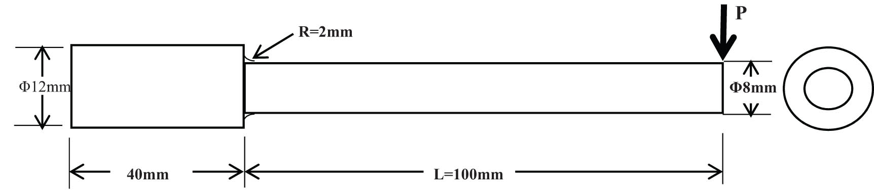 Figure 3 
                  Dimensions of composite sample for fatigue test.
               