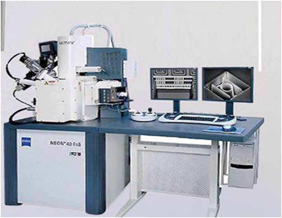 Figure 6 
                     Scanning electron microscopy.
                  
