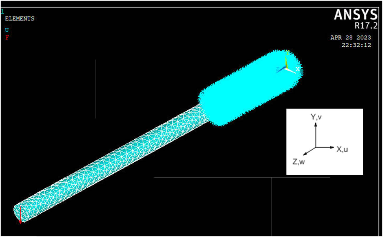 Figure 8 
                  Numerical model of fatigue test sample.
               