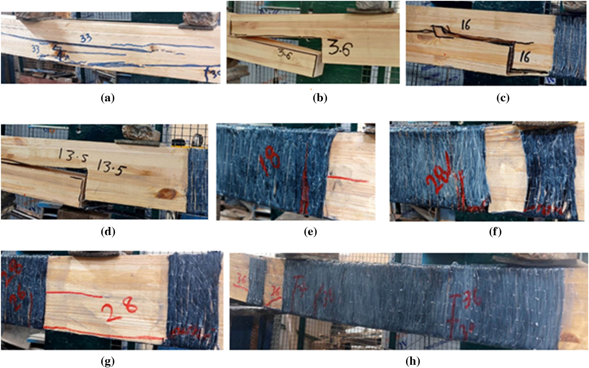 Figure 7 
                  Failure mode of tested glulam timber specimens. (a) B1. (b) B2. (c) B5. (d) B6. (e) B8. (f) B9. (g) B10. (h) B12.
               