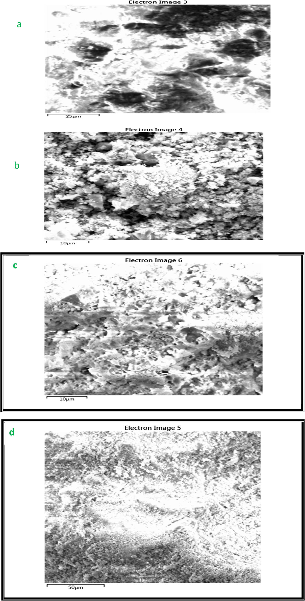 Figure 3 
                     Images SEM for (a) sludge, (b) bentonite, and (c) SB composite before adsorption and (d) SB composite after adsorption.
                  