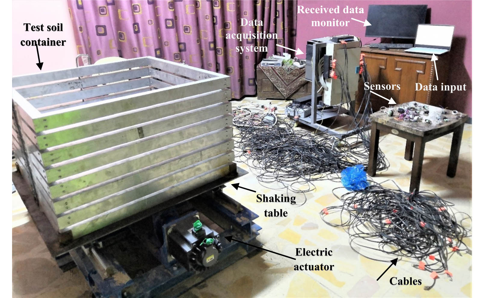 Figure 5 
                  Ambience of the shaking table tests.