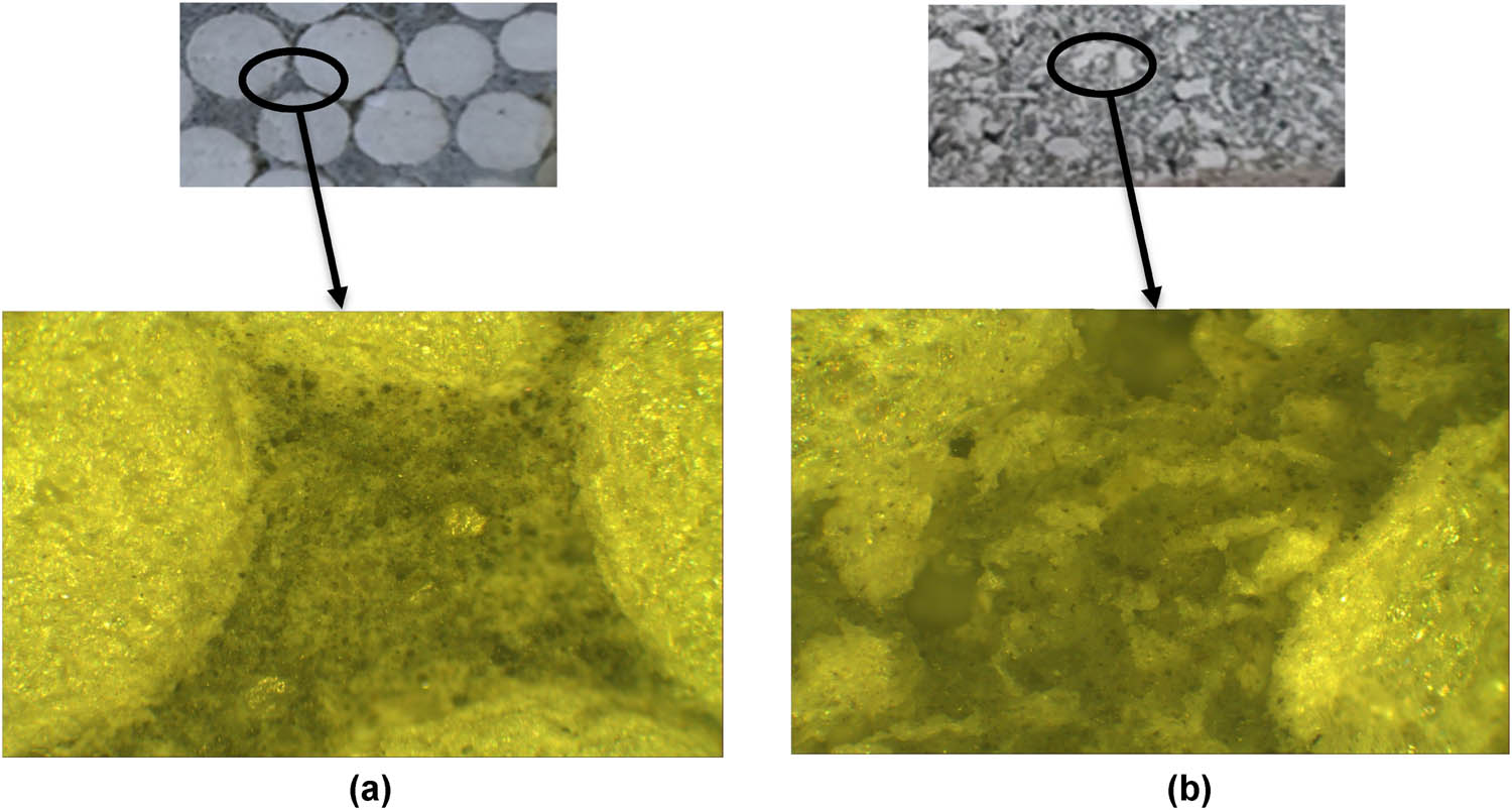 Figure 10 
                  EPS distribution inside LWM as (a) virgin beads and (b) grated.
               
