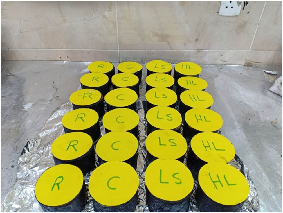 Figure 3 
                  WMA samples prepared without RAP.
               