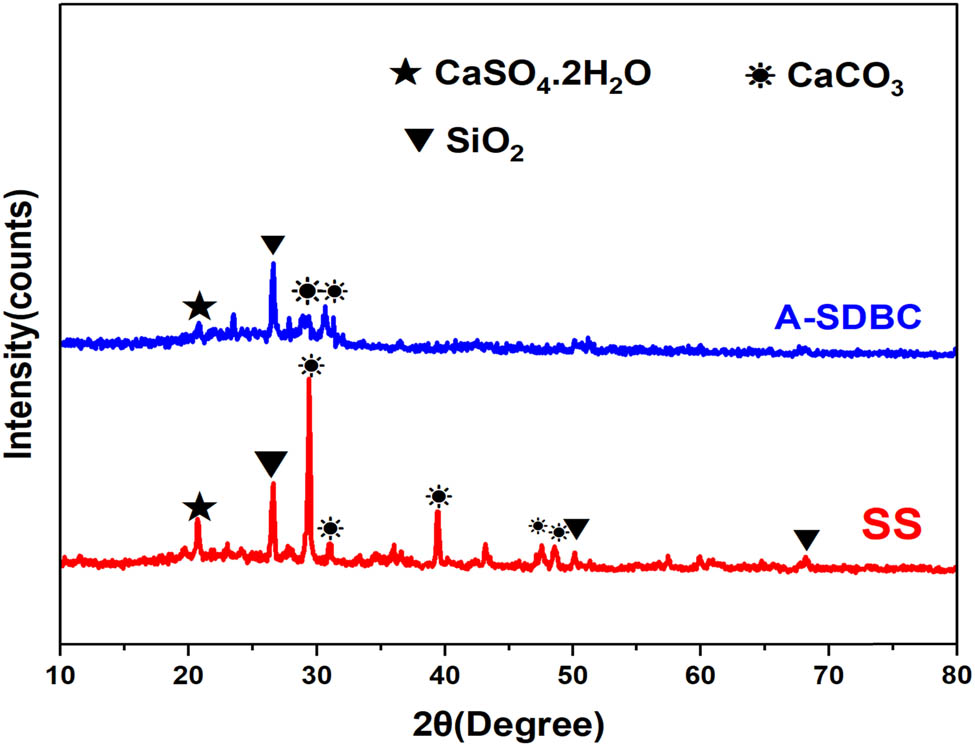 Figure 1
XRD spectra for SS and A-SDBC.