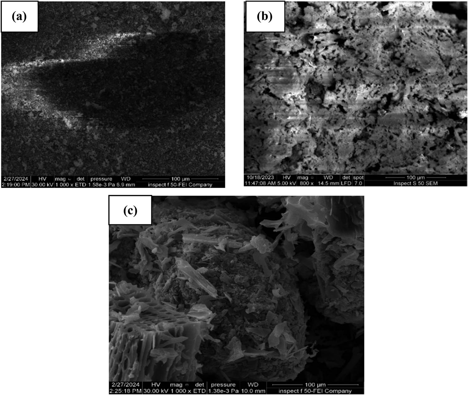 Figure 2
FE-SEM images for (a) SS, (b) SDBC, and (c) A-SDBC.