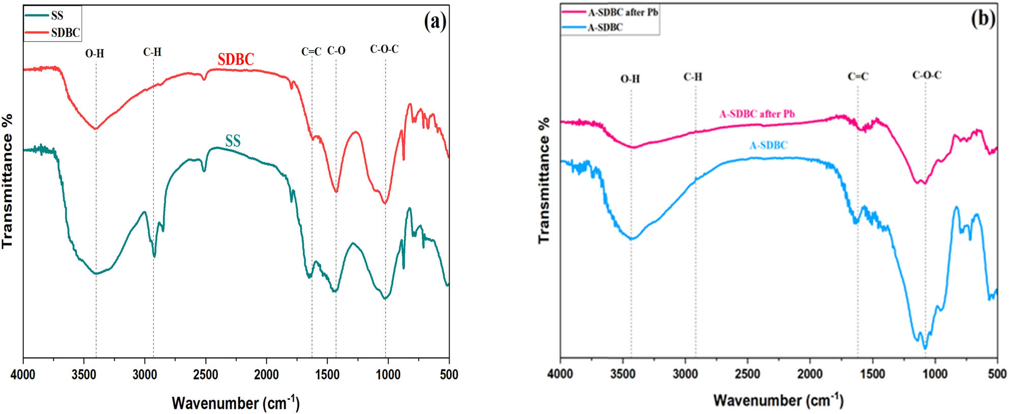 Figure 3
(a) FTIR spectrum for raw SS and SDBC and (b) FTIR spectrum for A-SDBC and A-SDBC after Pb2+ adsorption.