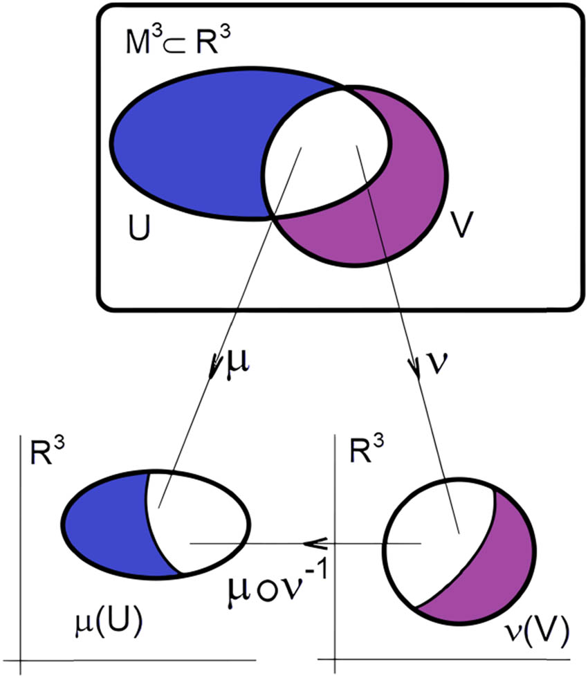 Figure 1 
                  Scheme of manifold mapping.
               