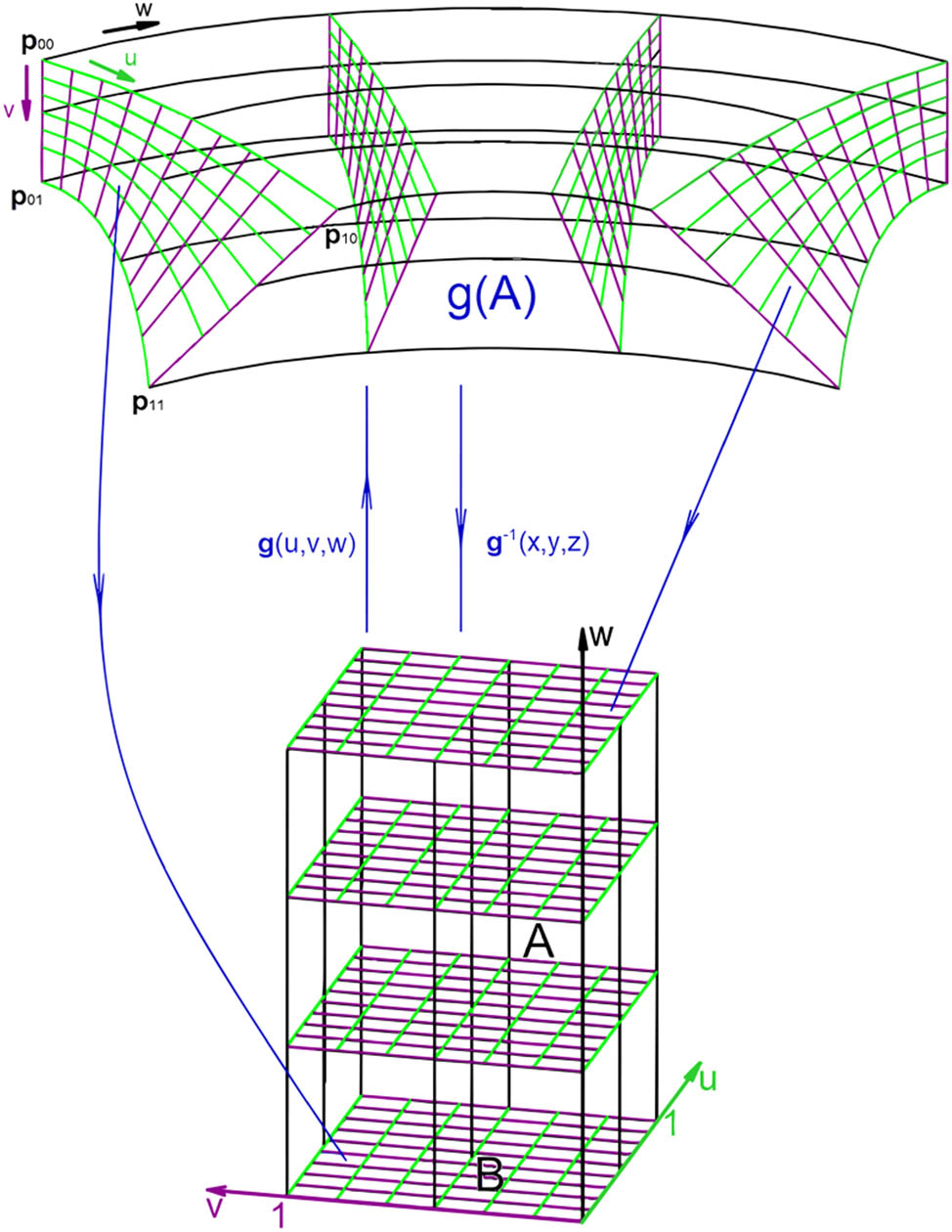Figure 5 
                  Scheme of the manifold with mapping.
               