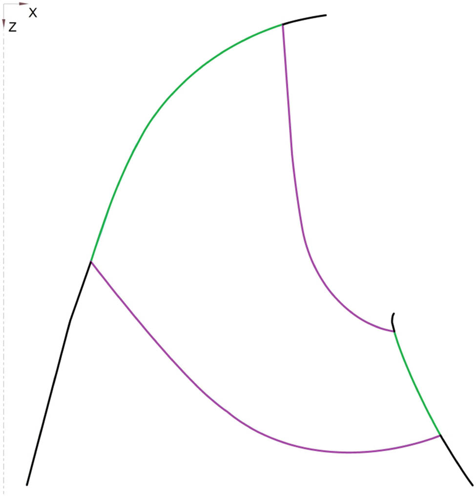Figure 14 
               Runner meridian with borders of the basic patch.
            