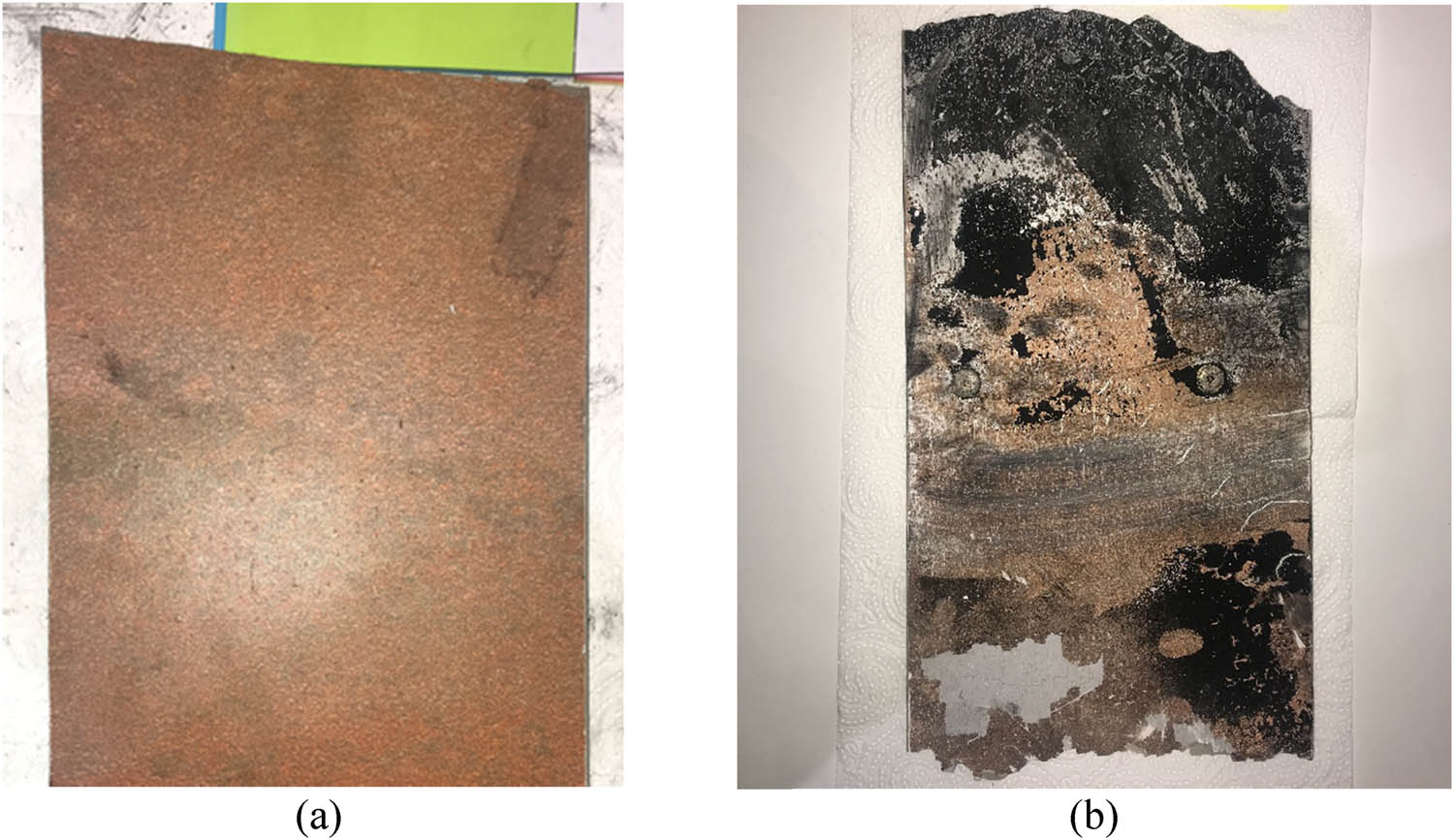Figure 8 
               Plates selected for further analysis: (a) reference plate and (b) degraded plate.
            