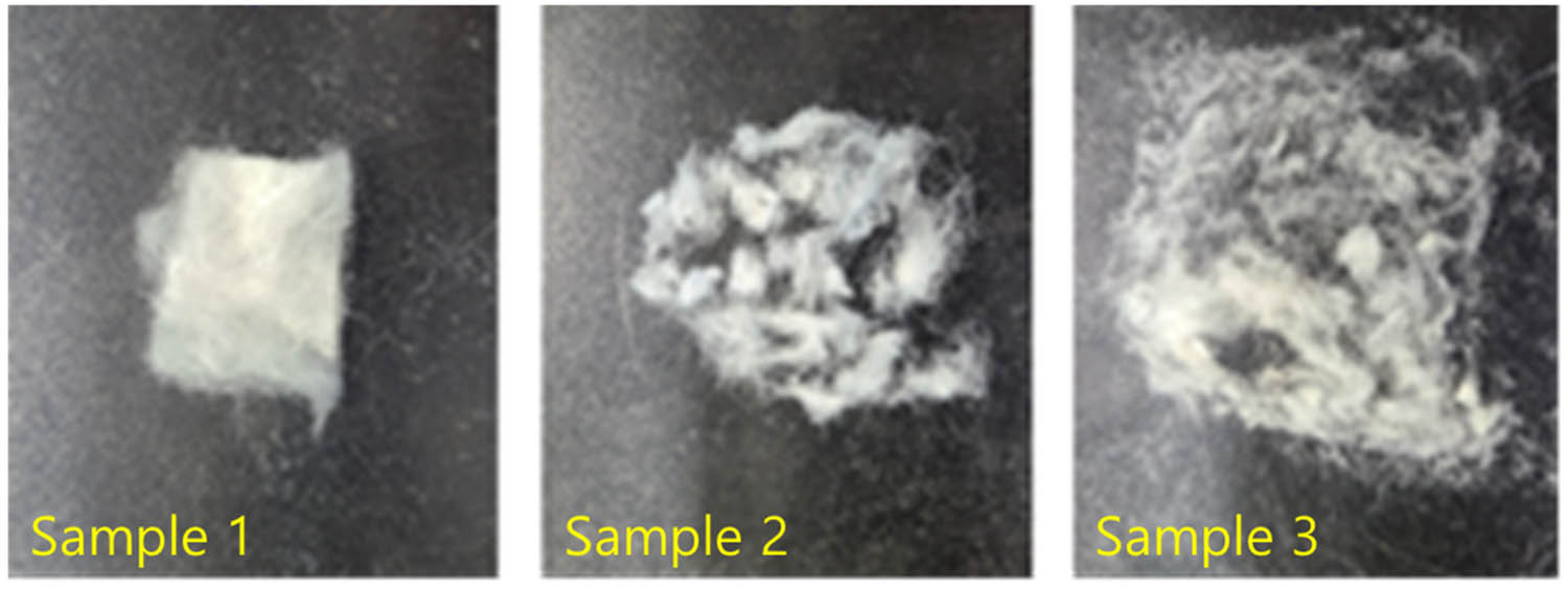 Figure 2 
               Physical outlook of samples collected from the garbage dump.
            