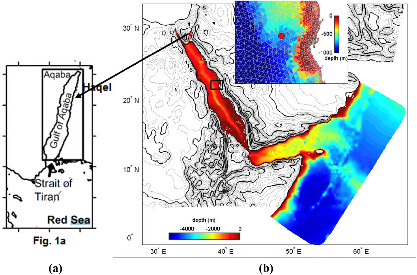Figure 1 
                  (a) Study site location. (b) Red Sea bathymetry map.
               