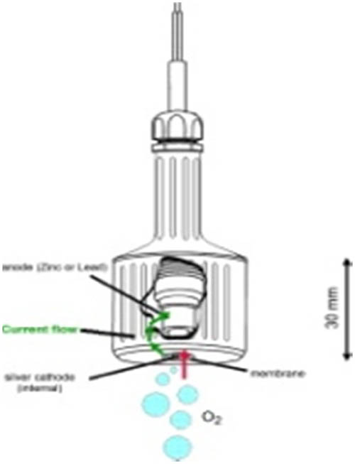 Figure 3 
                     Schematic representation of the DO sensor.
                  