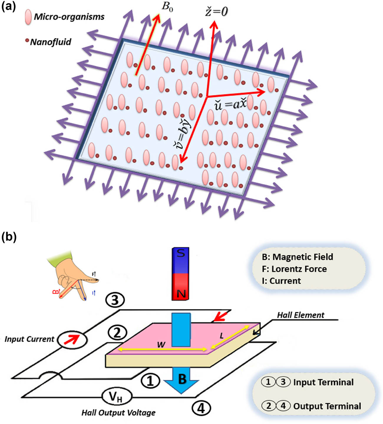Figure 1 
               (a) Physical sketch of the problem. (b) Hall effect sensor diagram.
            