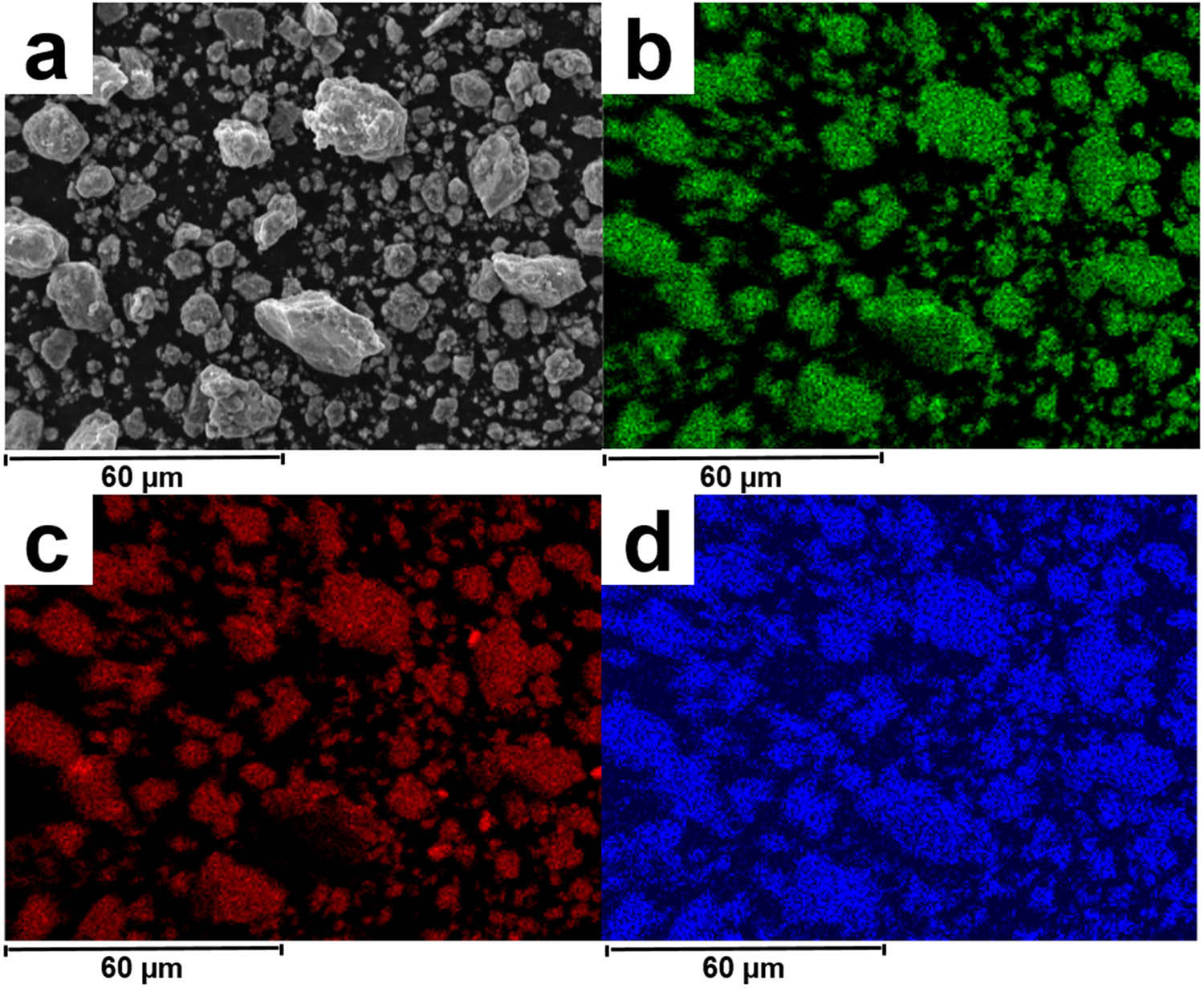 Figure 8 
               Mapping the microstructure of Ni–Ti–Cu powders after mechanosynthesis.
            