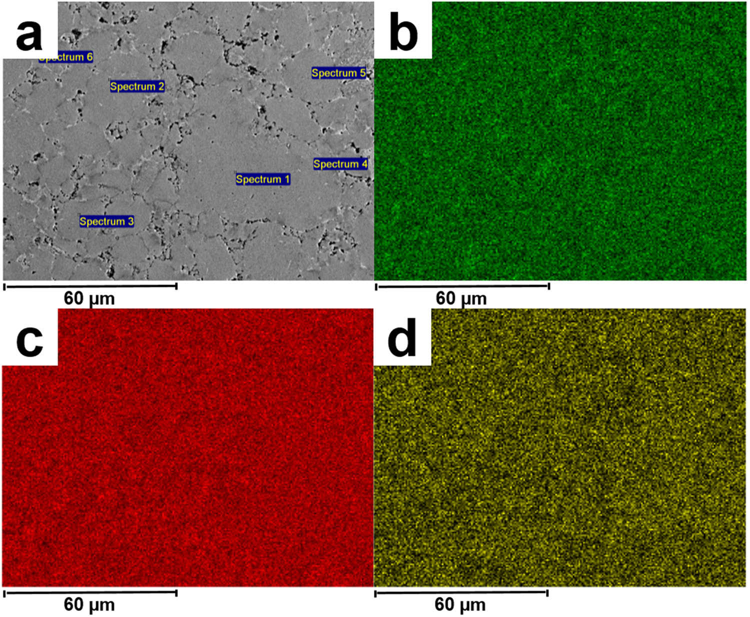 Figure 13 
               SEM image and elemental mapping of the Ni–Ti–Cu after SPS 
                     
                        
                        
                           85
                           
                              
                                 0
                              
                              
                                 
                                    ∘
                                 
                              
                           
                           C
                        
                        85{0}^{\circ }{\rm{C}}
                     
                  .
            