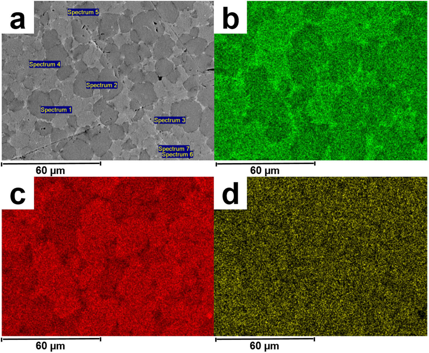 Figure 14 
               SEM image and elemental mapping of the Ni–Ti–Cu after SPS 
                     
                        
                        
                           90
                           
                              
                                 0
                              
                              
                                 
                                    ∘
                                 
                              
                           
                           C
                        
                        90{0}^{\circ }{\rm{C}}
                     
                  .
            