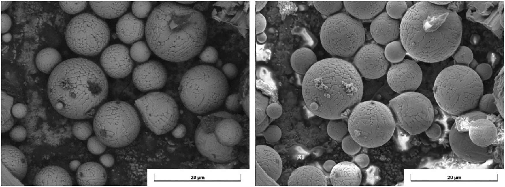 Figure 9: 
The structure of the rod surface at the atomic level.
