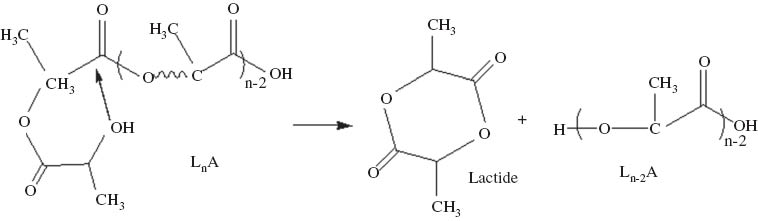Scheme 2 Details of the back-biting reaction of the OH group in a general chain of PLA (16).