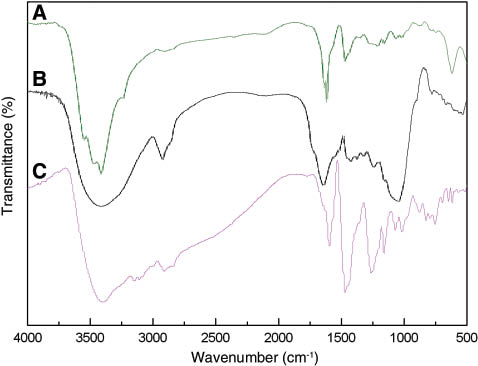Figure 3: FTIR spectra of (A) the original phenolic resin, (B) the corn stalk, and (C) the modified phenolic resin.