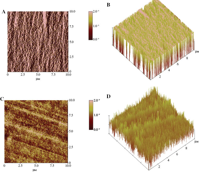 Figure 5: STM images of PU-5 and PU-2: (A, C) height and (B, D) three dimensions.