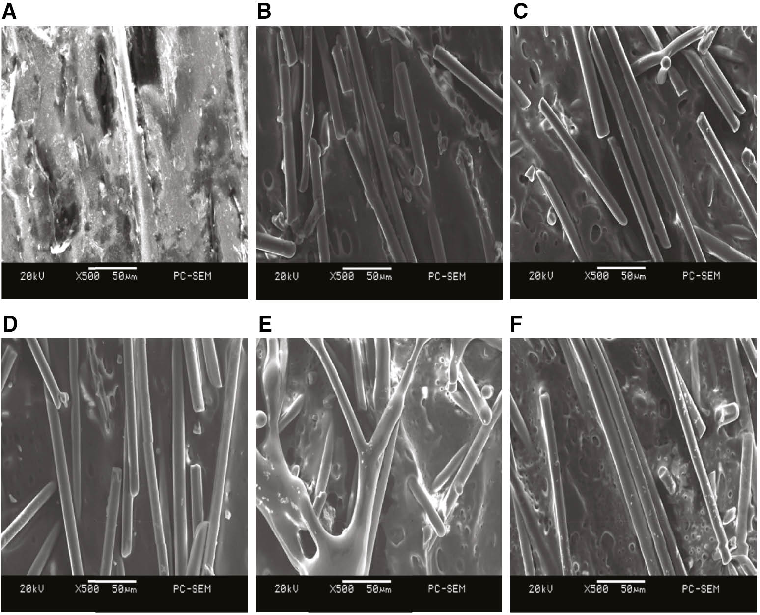 Figure 5: SEM photographs of PA6 surface after modification with different pulsed voltages.(A) Untreated, (B) 26 kV, (C) 28 kV, (D) 30 kV, (E) 32 kV, and (F) 34 kV.