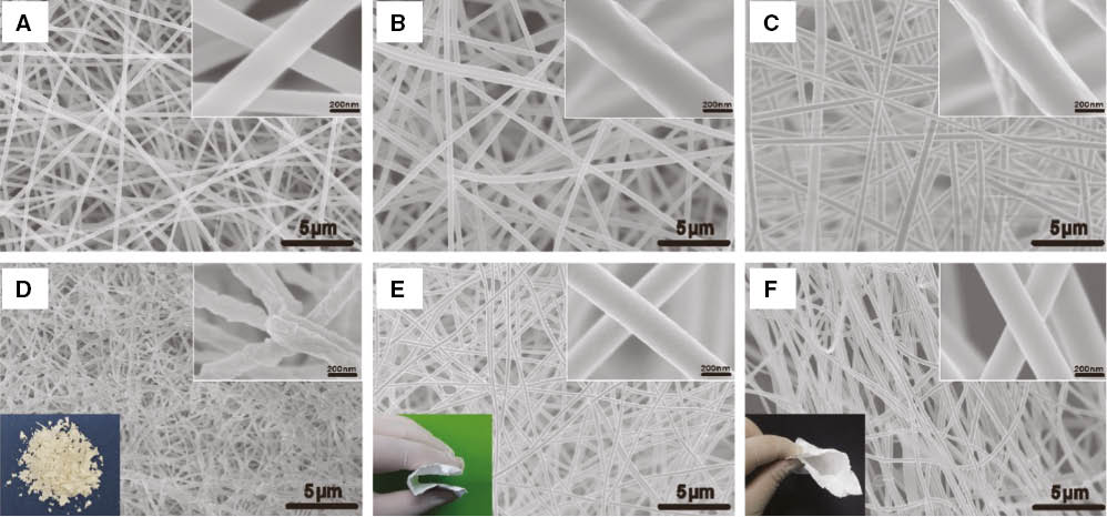 Figure 2: FE-SEM images of precursor membranes: (A) LZPNM-0, (B) LZPNM-70, (C) LZPNM-100, and inorganic membranes: (D) LZNM-0, (E) LZNM-70, and (F) LZNM-100.The insets are the digital photograph and magnified FE-SEM images of the corresponding membranes.