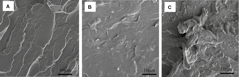 Figure 7: SEM image of the section of (A) CO-PA (B) 0.25 wt% CRGO/CO-PA and (C) 1.0 wt% CRGO/CO-PA composites 5000 times.