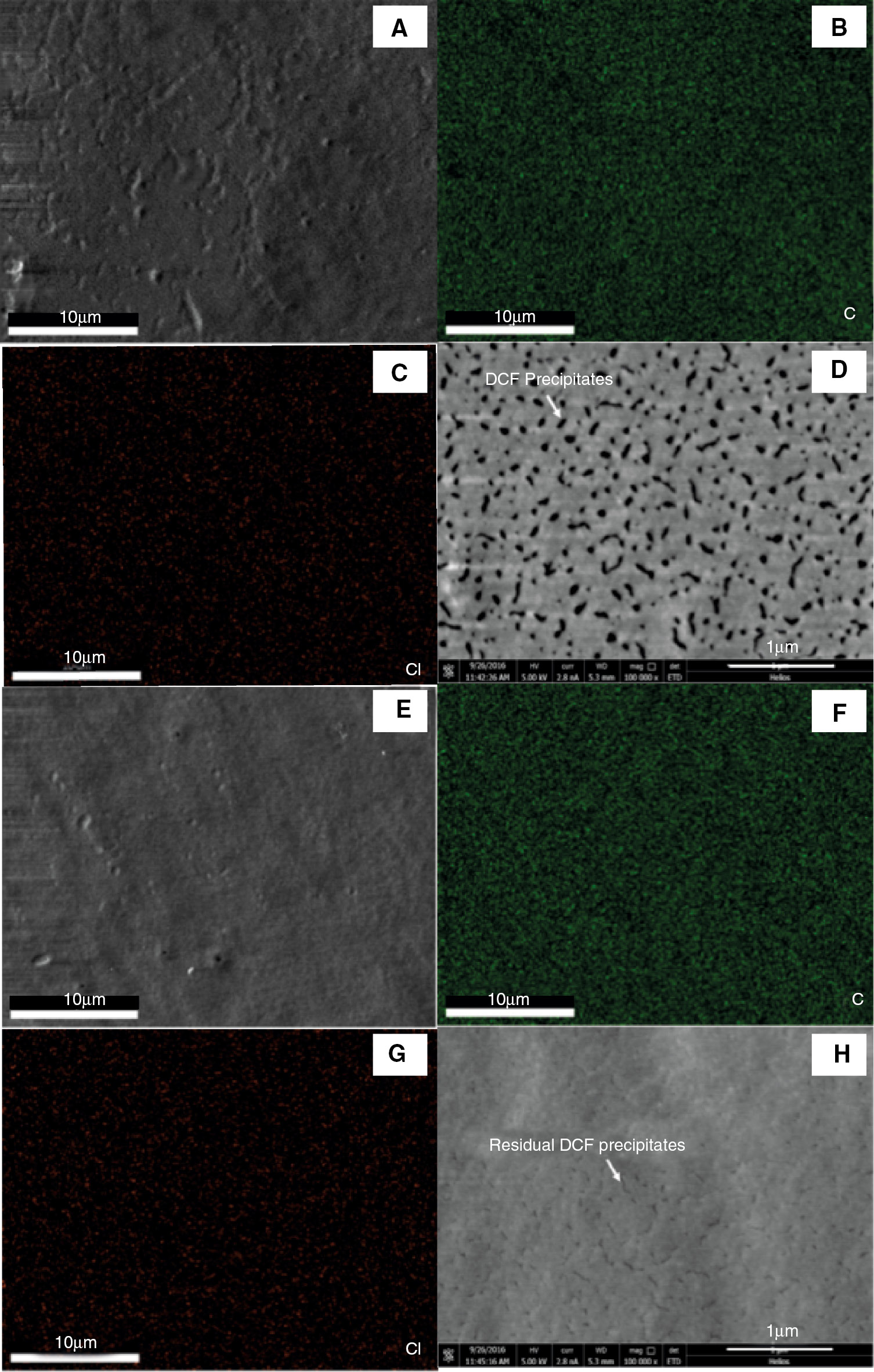 Figure 8: SEM micrographs and element mapping of damaged epoxy film before and after immersed in water. (A–D) SEM image, C and Cl mapping of epoxy film after soaked in DCF/GMA solution; (E–H) SEM image, C and Cl element mapping of epoxy film with DCF after immersed in water.