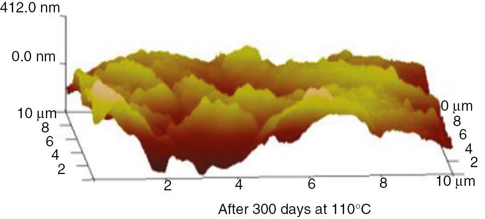 Figure 25: AFM three-d imensional images of the insulation paper at 110°C.