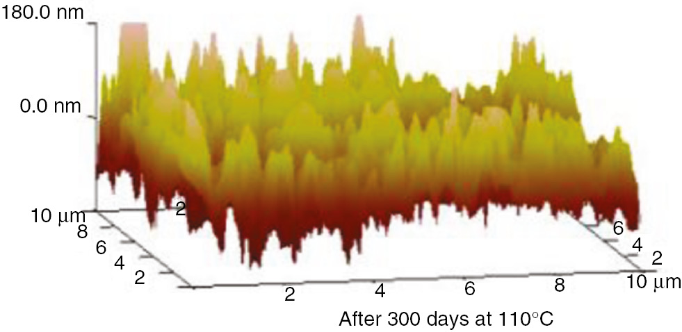 Figure 27: AFM three-dimensional images of the PC at 110°C.