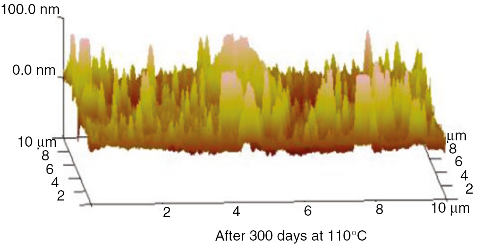 Figure 29: AFM three-dimensional images of the PET at 110°C.