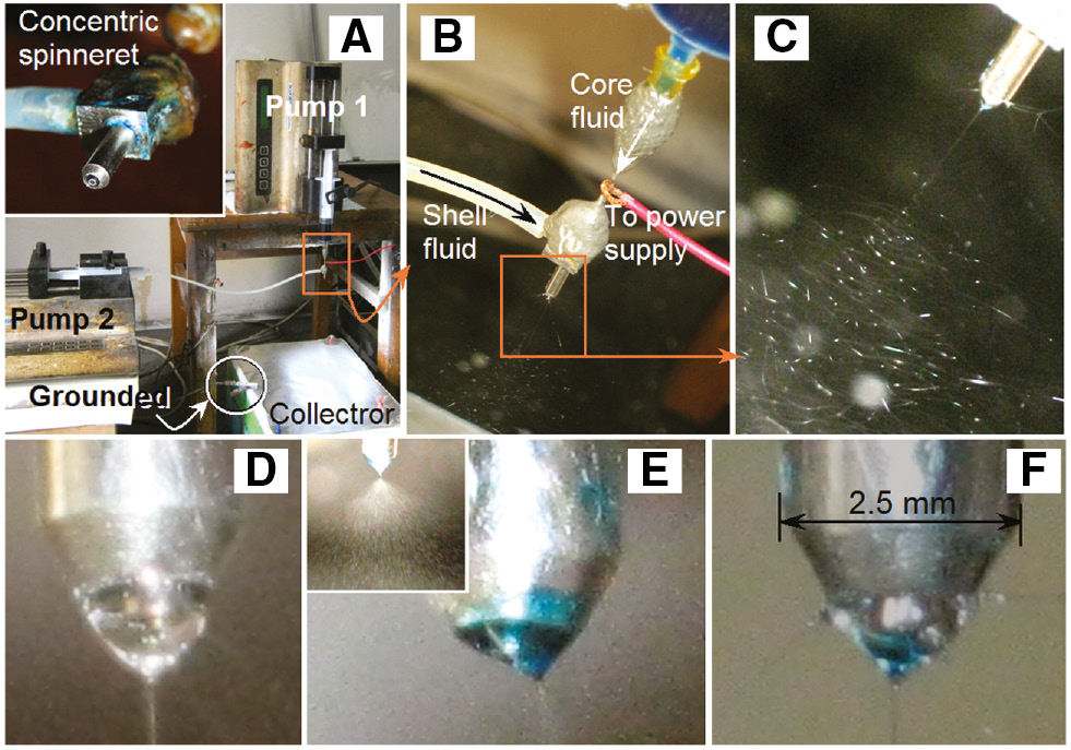 Figure 1: Preparation of the medicated polymeric nanocomposites: (A) the apparatus arrangement, the inset shows the coaxial spinneret; (B) connection between the spinneret and the voltage supply; (C) a typical coaxial electrospinning process for the fabrication of nanofibers F3; (D) Taylor cone of only shell fluid for fabricating nanofibers F1; (E) Taylor cone of only the core solution; (F) a complex Taylor cone for the preparation of fibers F3.