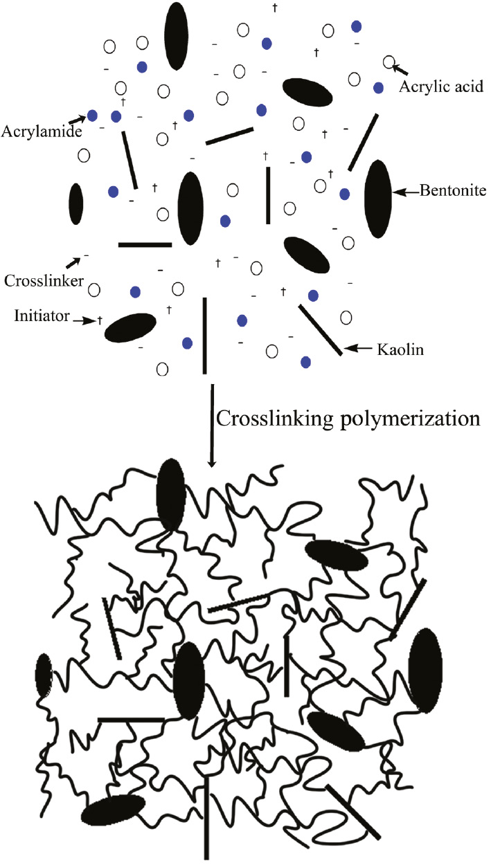 Scheme 1: Proposed preparation mechanism for composite hydrogel.