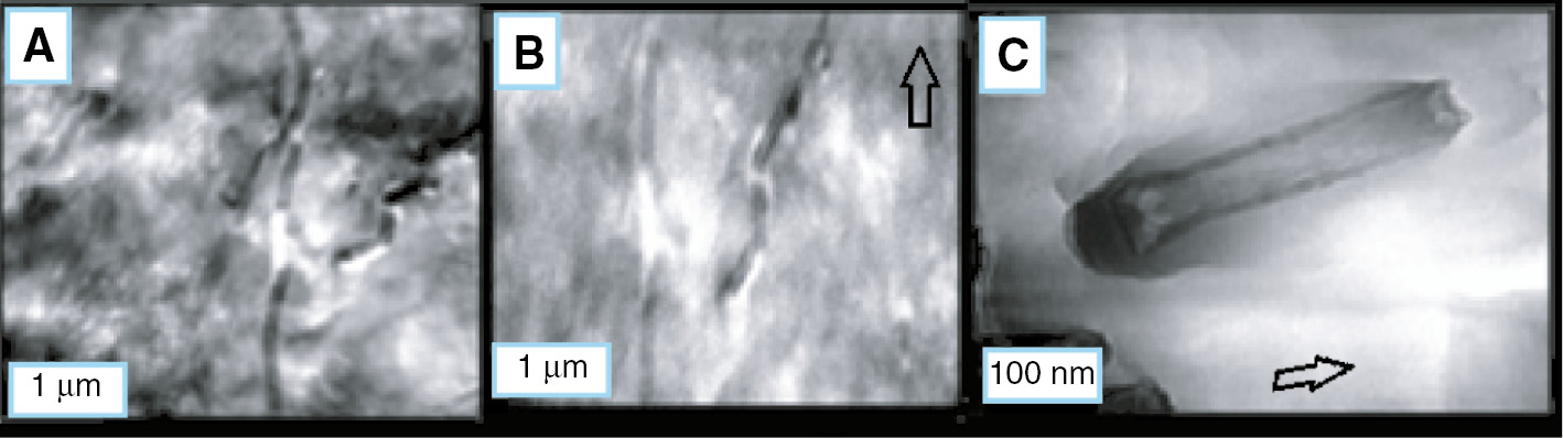 Figure 1: (A) SEM micrograph HDPE-VGCNF_20A (before stretching). (B) SEM of HDPE-VGCNF_20B (after a strain of 500%). (C) SEM of HDPE-VGCNF_20C (after a strain of 1000%). The arrow indicates the stretching direction.